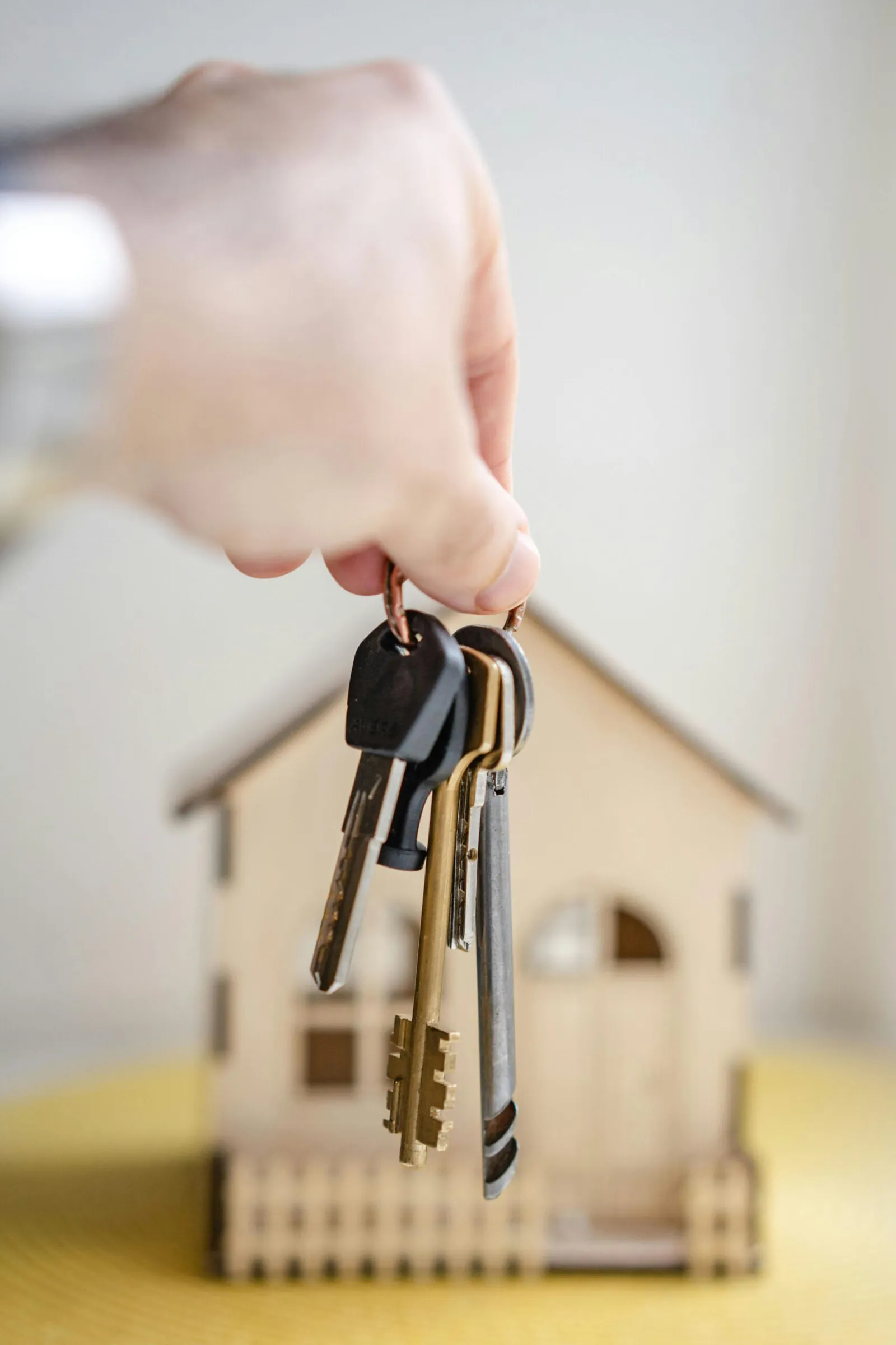 Property litigation — residential property in dispute